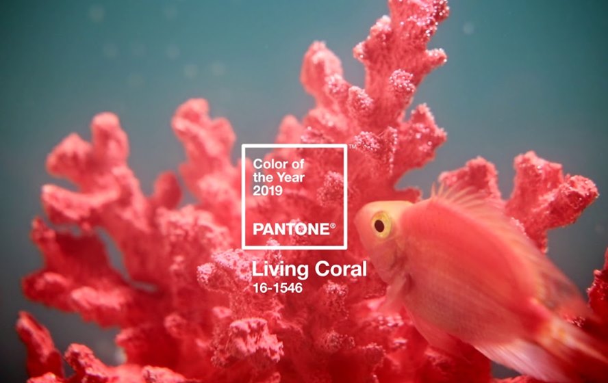 7 Beauty Products That Celebrate Pantone's Color of the Year for 2019 - Living Coral - Featured Image