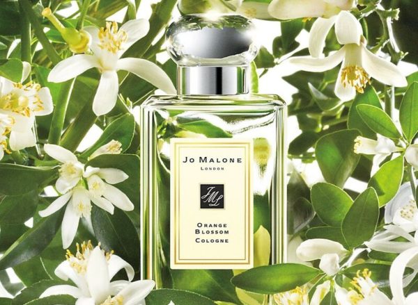 Orange Blossom by Jo Malone London Review