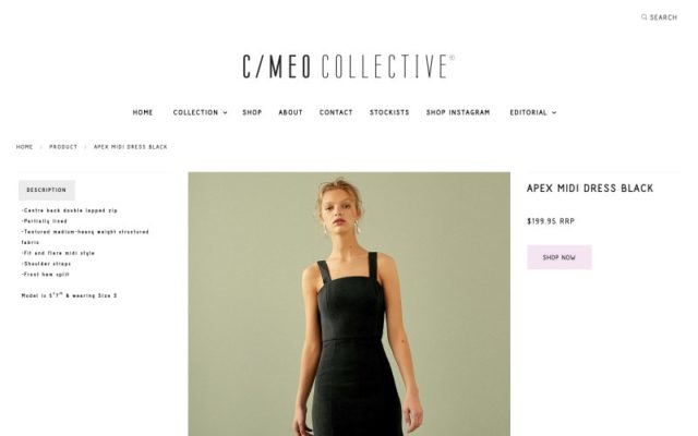 C/Meo Collective 2019 Review