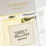 Sweet William by Carner Barcelona Review 1