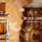 Velvet Exotic Leather by Dolce & Gabbana Review 1